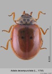 Female