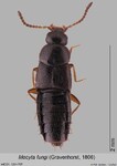 Female