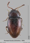 Female