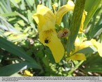 Biotope