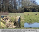 Biotope