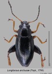 Female