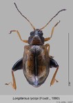 Female