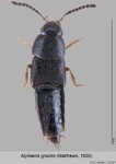 Habitus & Records