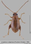Female