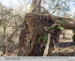 Biotope